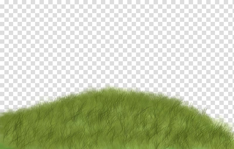 Lawn Green Grasses Tree Pattern, Creative green grass transparent background PNG clipart