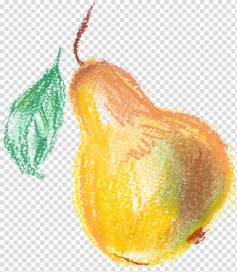 Pear Google s, Hand painted yellow pear transparent background PNG clipart