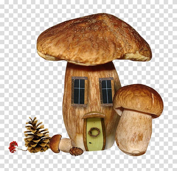 Autumn , mushroom house transparent background PNG clipart