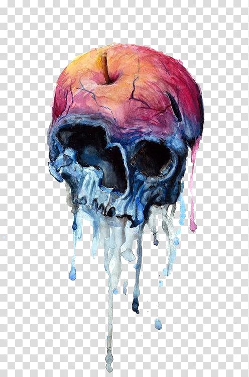 Apple Human skull symbolism Drawing, apple transparent background PNG clipart