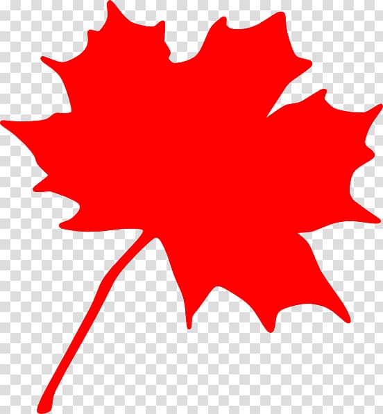 Canada Sugar maple Maple leaf , Maple Leaf Silhouette transparent background PNG clipart