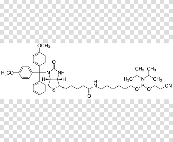 Endorphins Enkephalin Glückshormone Molecule Dopamine, others transparent background PNG clipart