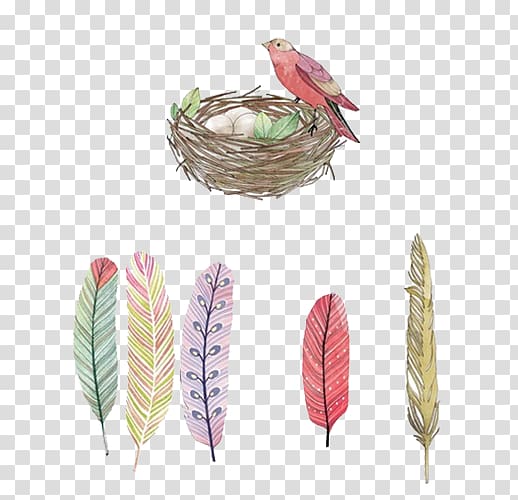 Bird Feather Nest Egg, Nest and feathers transparent background PNG clipart