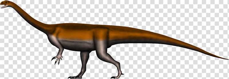Glacialisaurus Riojasaurus Massospondylus Dinosaur Coloradisaurus, dinosaur transparent background PNG clipart