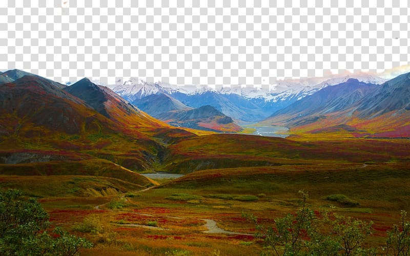 Denali National park Landscape , United States Denali National Park, eleven transparent background PNG clipart