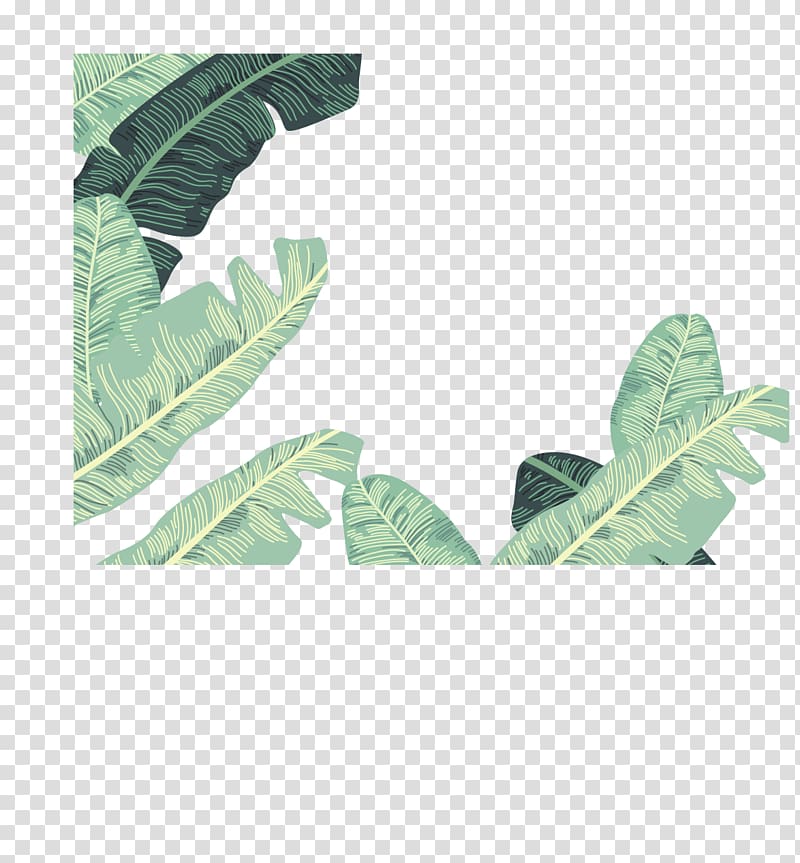 green leafed plant, Banana leaf Euclidean , banana leaves decorative borders transparent background PNG clipart