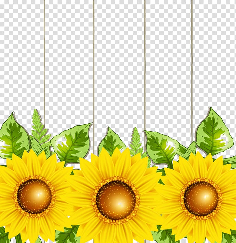 Transvaal daisy Common sunflower Illustration, Gerbera flowers transparent background PNG clipart Transvaal daisy Common sunflower Illustration, Gerbera flowers transparent background PNG clipart