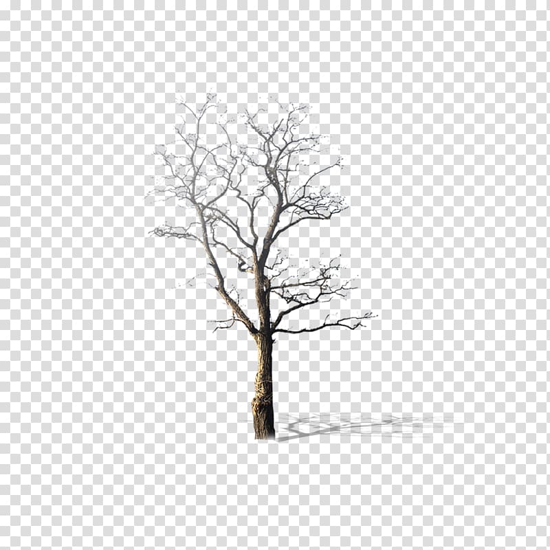 simple dead tree material transparent background PNG clipart