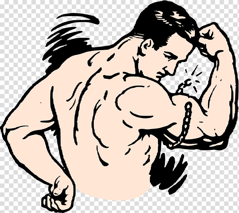 Strongman Bodybuilding , muscles transparent background PNG clipart