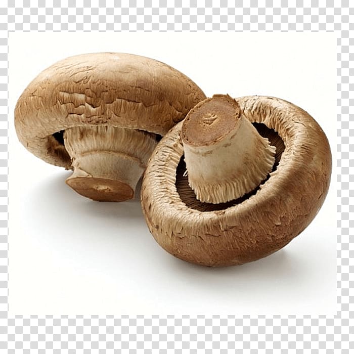 Common mushroom Edible mushroom Fungus Oyster Mushroom, papaya salad transparent background PNG clipart