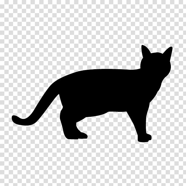 Ferret Cat Panther, ferret transparent background PNG clipart