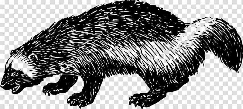 Domesticated hedgehog Computer Icons , others transparent background PNG clipart