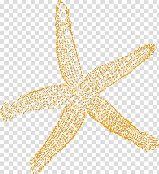 orange starfish illustration, Starfish Free content , Starfish Free transparent background PNG clipart