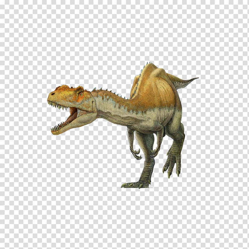 Yangchuanosaurus Tyrannosaurus Spinosaurus Metriacanthosaurus Oxfordian, Cartoon dinosaur transparent background PNG clipart
