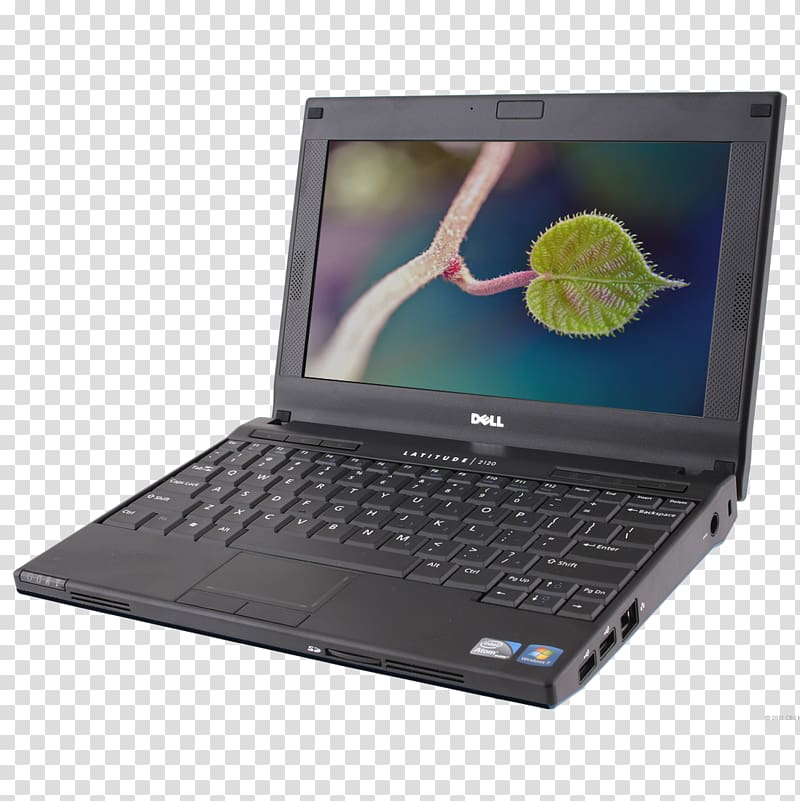 Netbook Computer hardware Laptop Dell Latitude, Laptop transparent background PNG clipart