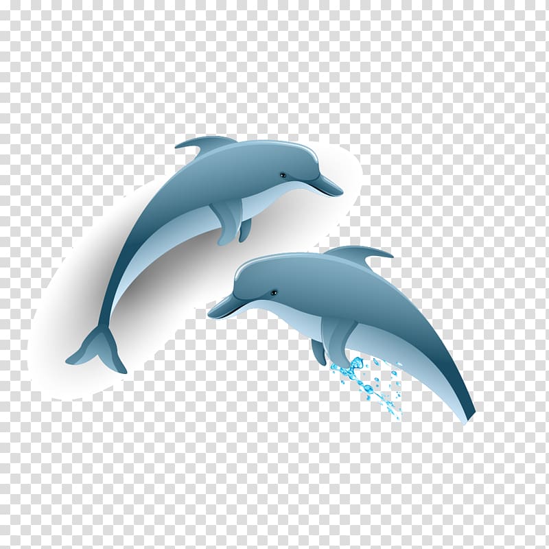 Common bottlenose dolphin Tucuxi, Dolphins transparent background PNG clipart