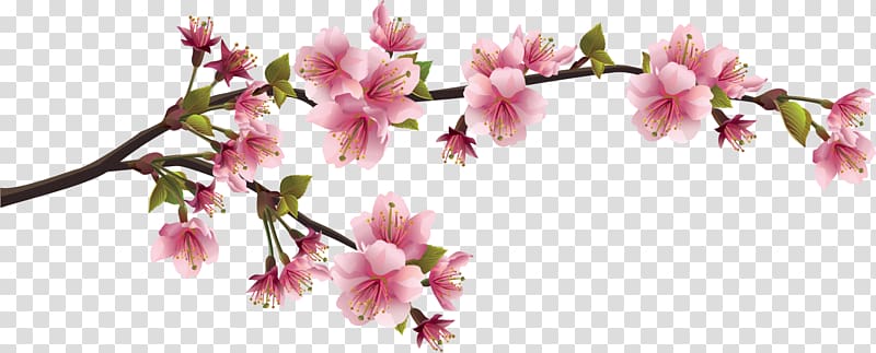 pink petaled flowers , Cherry blossom Wall decal Branch, peach branch transparent background PNG clipart