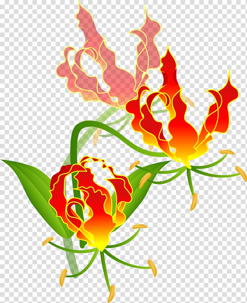 Floral design Fire lilies Cut flowers Tulip, flower transparent background PNG clipart
