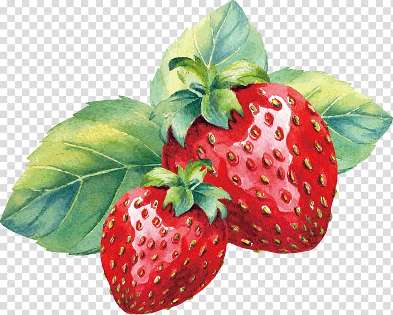 strawberries illustration, Strawberry Aedmaasikas Amorodo Watercolor painting, painted strawberry transparent background PNG clipart