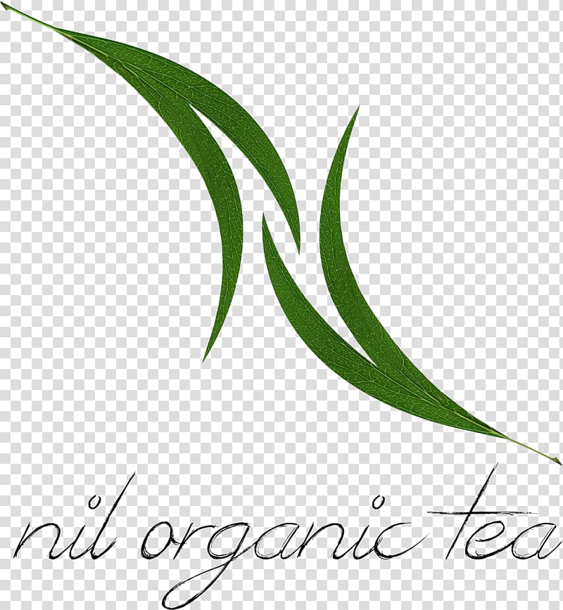 Tea blending and additives Oolong Masala chai Rooibos, Tea Blending And Additives transparent background PNG clipart