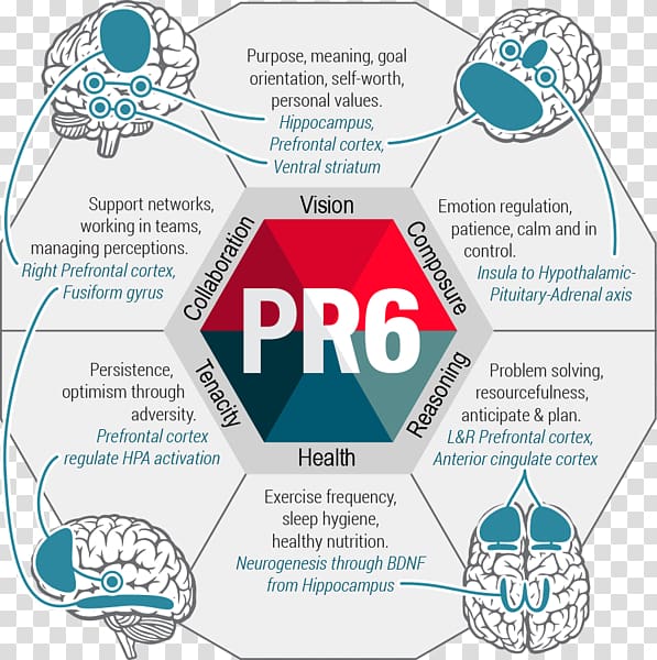 Psychological resilience Research Scale Psychometrics Measurement, Scale transparent background PNG clipart