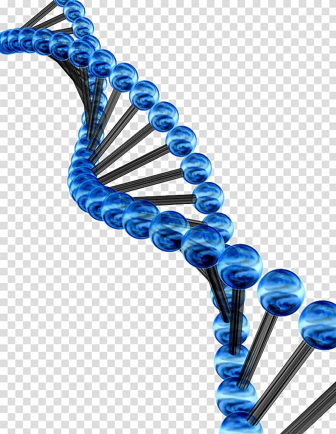 DNA illustration, Genetic code Genetics Three-dimensional space Illustration, Blue geometric elements Chemical Technology transparent background PNG clipart