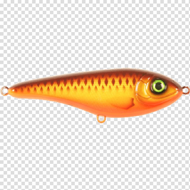 https://p7.hiclipart.com/preview/793/475/785/northern-pike-fishing-baits-lures-spoon-lure-bass-worms-fishing.jpg