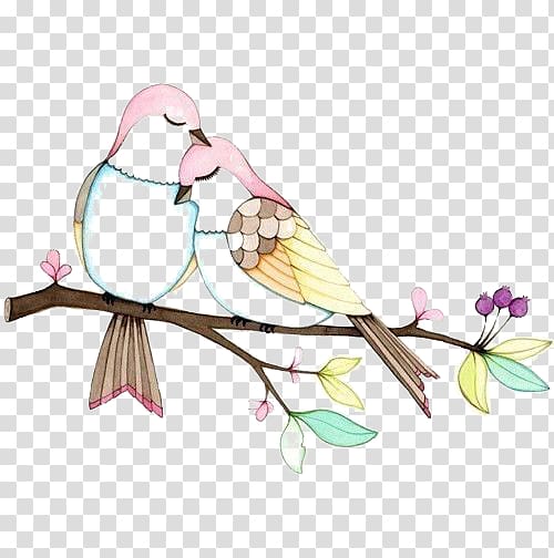 Lovebird Drawing Illustration, Birds transparent background PNG clipart