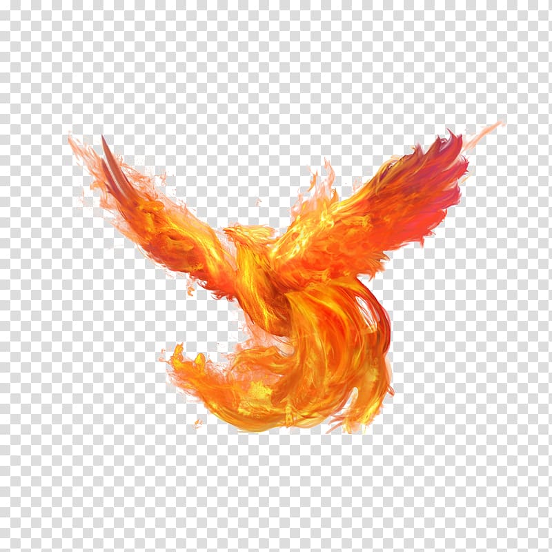 bath fire phoenix transparent background PNG clipart