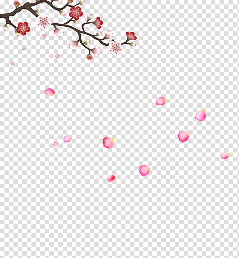 Plum blossom Graphic design, Plum bloom transparent background PNG clipart
