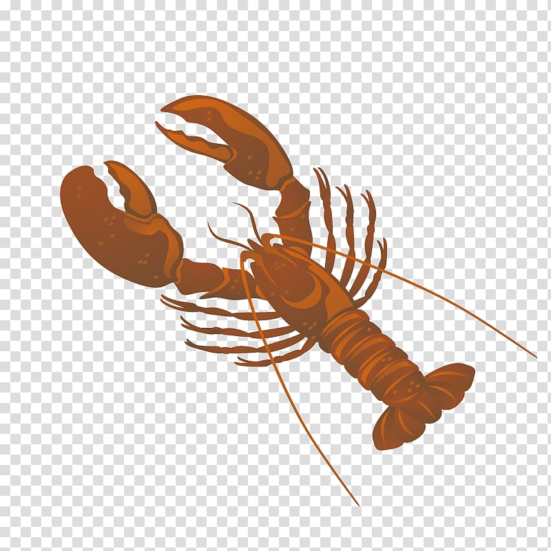 Seafood Lobster Crab Cartoon, Lobsters transparent background PNG clipart