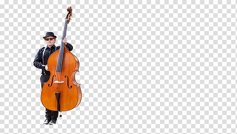 Violone Double bass Bluegrass Cello Violin, violin transparent background PNG clipart