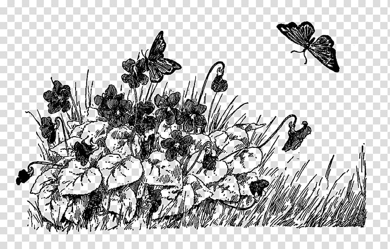 Drawing Art Black and white Flower, wild flower transparent background PNG clipart