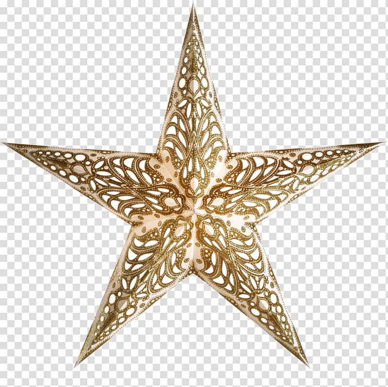Paper Christmas Poinsettia Gold Stars Transparent