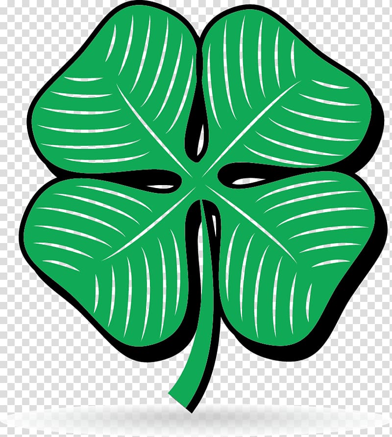 Ireland Shamrock Clover Green, illustration green clover transparent background PNG clipart