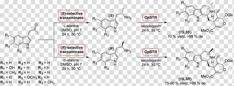 Strictosidine Catalysis Chemical synthesis Pictet–Spengler reaction Reserpine, others transparent background PNG clipart