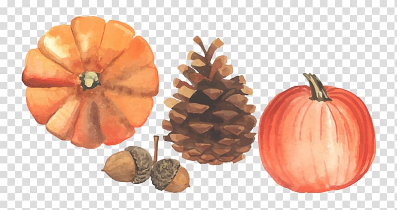 Autumn Illustration, Autumn harvest season transparent background PNG clipart
