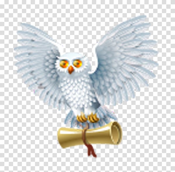 Harry Potter and the Half-Blood Prince Harry Potter and the Philosophers Stone ICO Icon, owl transparent background PNG clipart