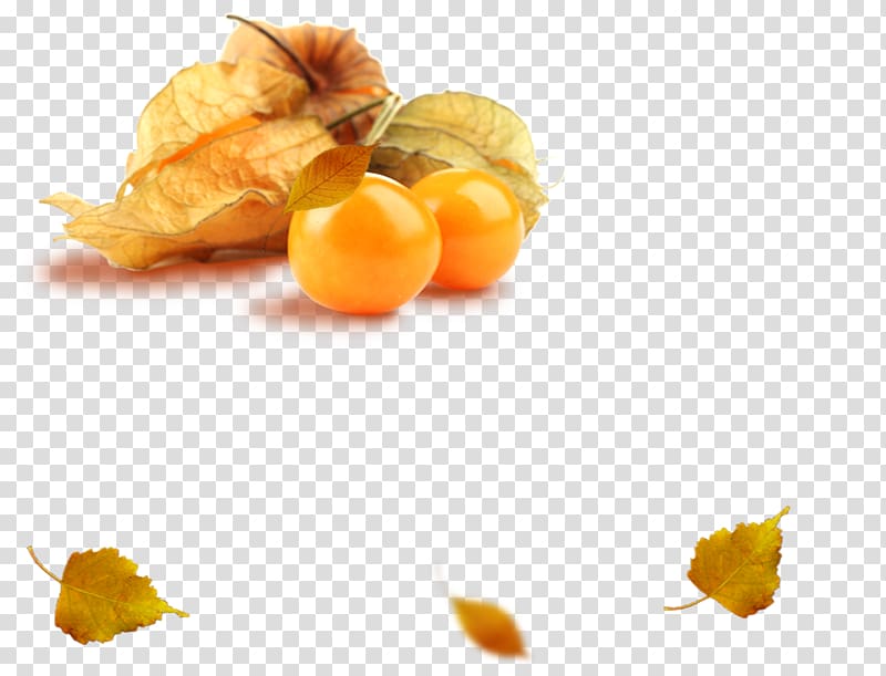 Peruvian groundcherry Clementine Tropical fruit Food, vegetable transparent background PNG clipart