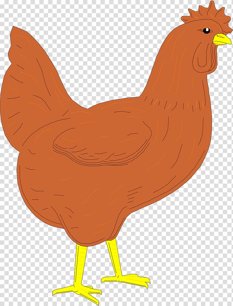 Rooster , Chicken face transparent background PNG clipart