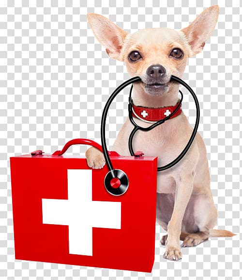 Dog Pet sitting Cat Pet First Aid & Emergency Kits, Dog transparent background PNG clipart