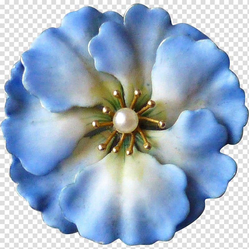 Cobalt blue Flowering plant Petal, stamens transparent background PNG clipart
