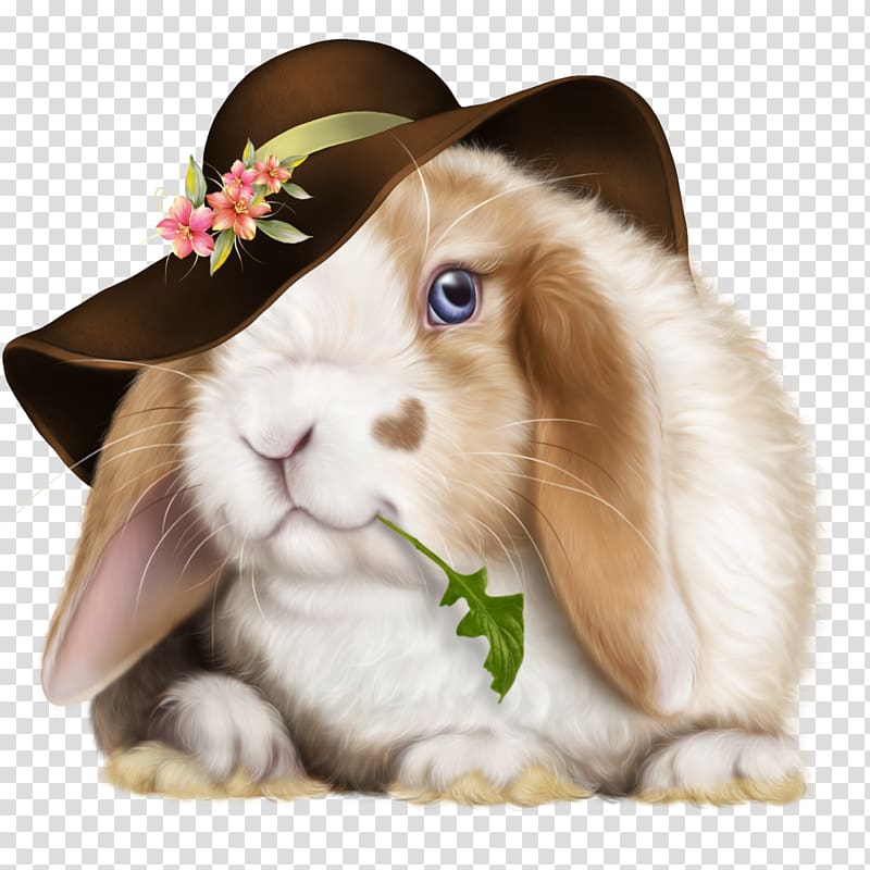 Domestic rabbit Hare Easter Bunny Angora rabbit, rabbit transparent background PNG clipart