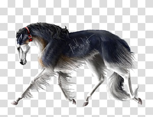 Borzoi Transparent Background Png Cliparts Free Download Hiclipart