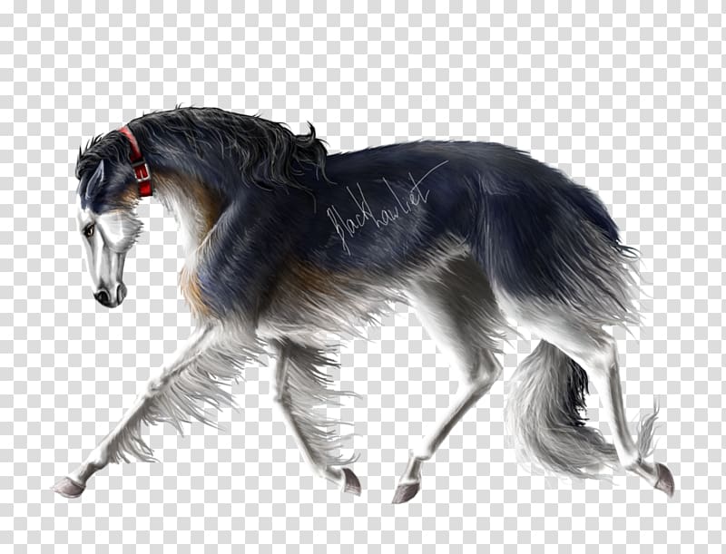 Saluki Borzoi Silken Windhound Irish Wolfhound Greyhound, others transparent background PNG clipart