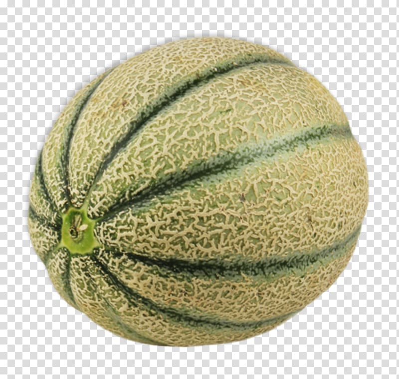 Honeydew Cantaloupe Melon Pumpkin Pregnancy, melon transparent background PNG clipart