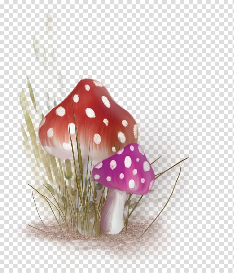Mushroom Pixel , Red fresh mushroom decoration pattern transparent background PNG clipart