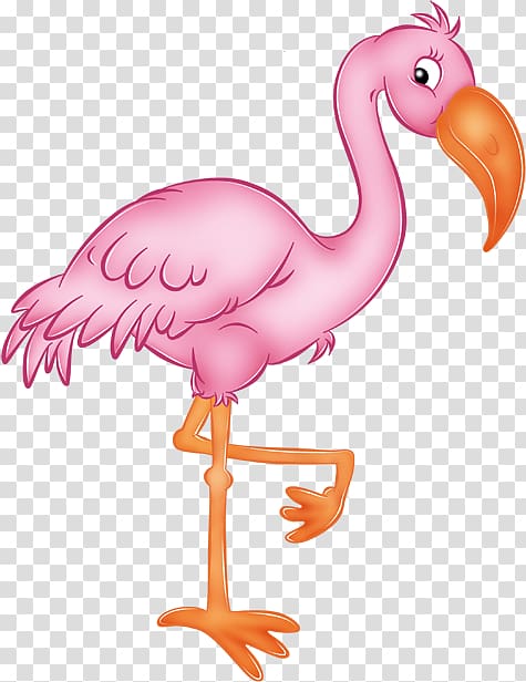 Flamingo Drawing , flamingo transparent background PNG clipart