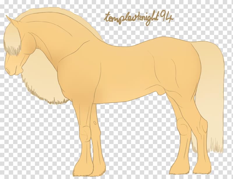 Foal Stallion Mare Colt Mustang, mortal instruments runes transparent background PNG clipart