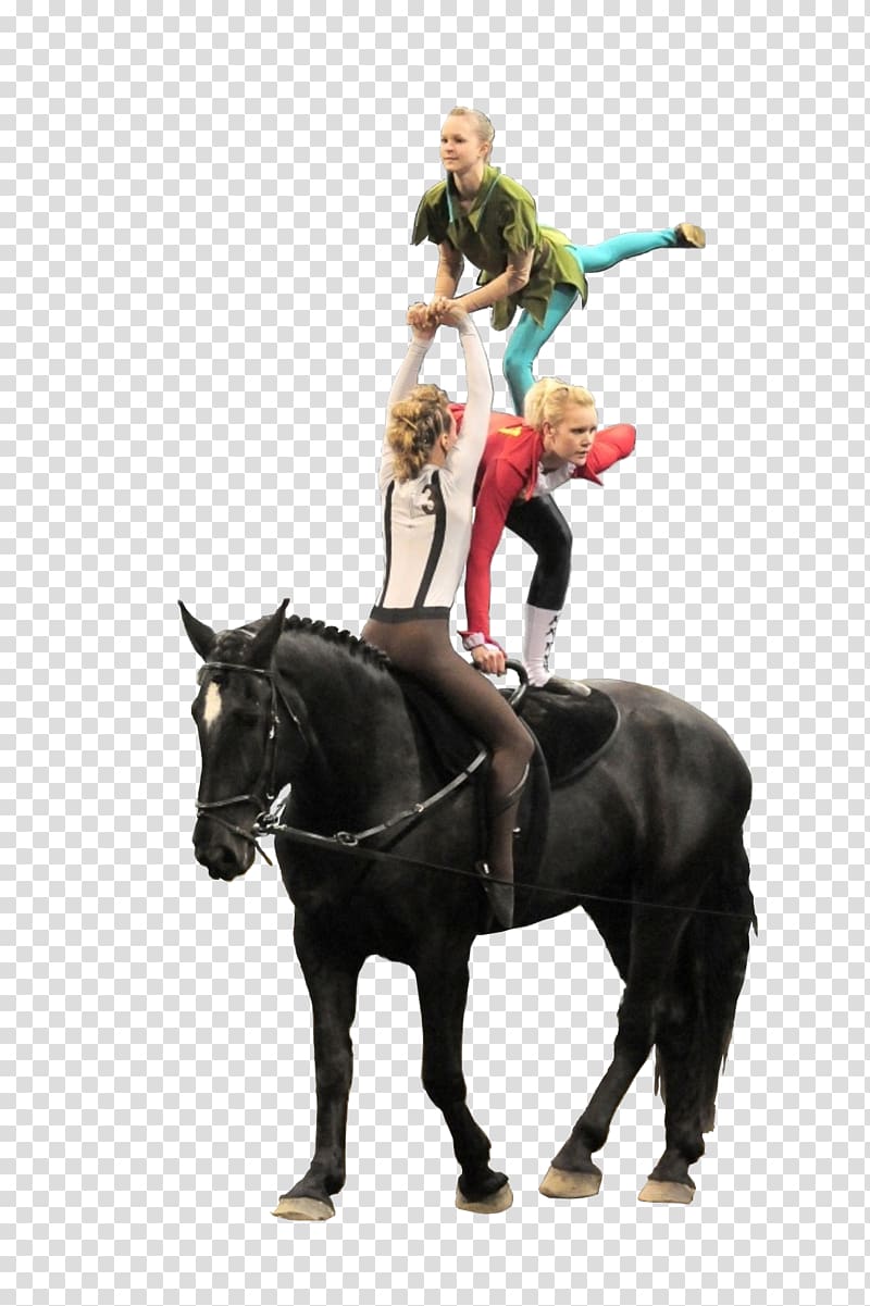 Horse Tack Equestrian vaulting Rein, hook transparent background PNG clipart